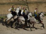 le puy du fou